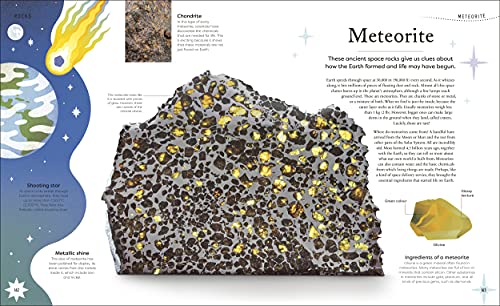 Nature's Treasures: Tales Of More Than 100 Extraordinary Objects From Nature - Retail Maharaj