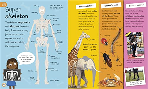 My Very Important Human Body Encyclopedia: For Little Learners Who Want to Know About Their Bodies - Retail Maharaj