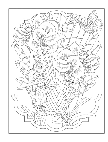 Creative Haven Tropical Wonders Coloring Book - Retail Maharaj