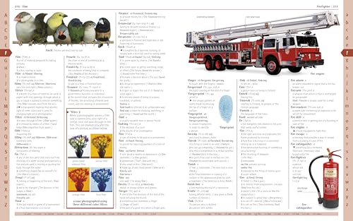 Merriam-Webster Children's Dictionary, New Edition: Features 3,000 Photographs and Illustrations - Retail Maharaj