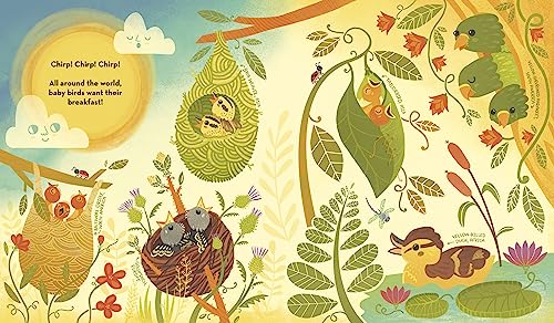 What's Inside A Bird's Nest?: And Other Questions About Nature & Life Cycles - Retail Maharaj