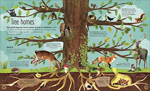 RHS The Magic and Mystery of Trees - Retail Maharaj