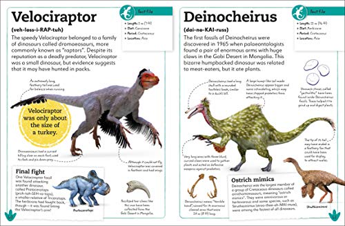 My Book of Dinosaurs and Prehistoric Life: Animals and plants to amaze, surprise, and astonish! - Retail Maharaj