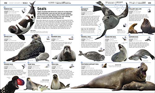 Knowledge Encyclopedia: Ocean! Our Watery World As You've Never Seen It Before - Retail Maharaj