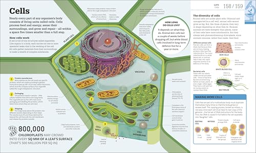 How Science Works: The Facts Visually Explained (DK How Stuff Works) - Retail Maharaj