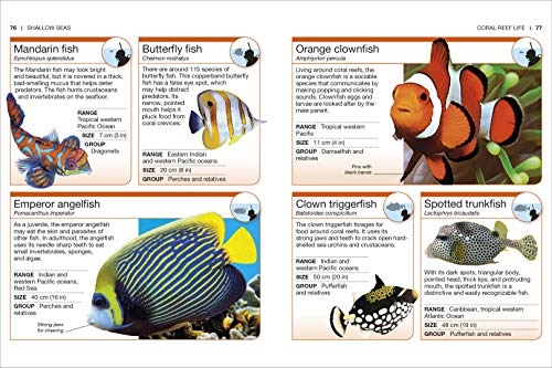 Ocean: Facts at Your Fingertips (Pocket Eyewitness) - Retail Maharaj
