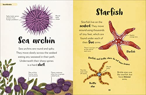 The Bedtime Book of Animals: Take a Peek at more than 50 of your Favourite Animals - Retail Maharaj
