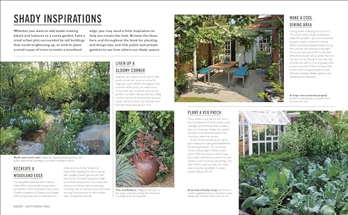 Grow Shade Garden: Essential Know-how and Expert Advice for Gardening Success - Retail Maharaj