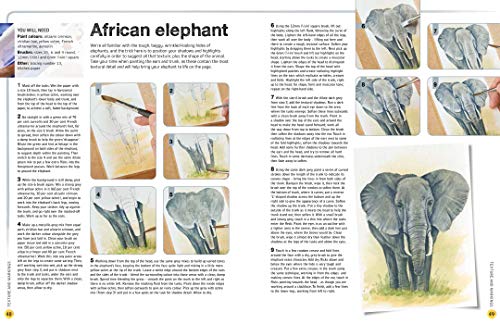 Ready to Paint in 30 Minutes: Animals in Watercolour: Build your skills with quick & easy painting projects - Retail Maharaj