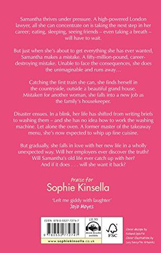 The Undomestic Goddess - Retail Maharaj