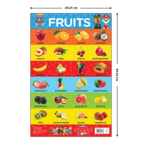 Paw Patrol - My First Early Learning Charts : Learn With Paw Pups (10 Charts - Alphabet, Animals, Birds, Colors, Fruits, Numbers, Opposites, Shapes, Transport, Vegetables) - Retail Maharaj