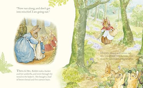 Peter Rabbit: Book and Toy Gift Set: The perfect present for babies and toddlers - Retail Maharaj
