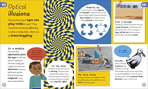 My Very Important Human Body Encyclopedia: For Little Learners Who Want to Know About Their Bodies - Retail Maharaj