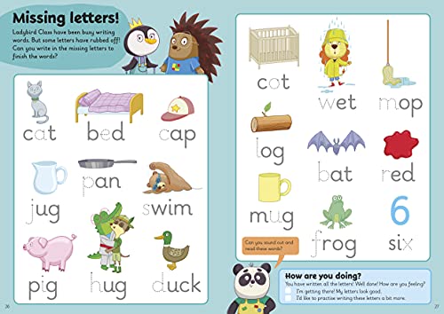 Letters: A Learn with Ladybird Wipe-Clean Activity Book 3-5 years: Ideal for home learning (EYFS) - Retail Maharaj