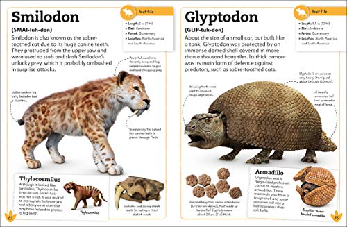 My Book of Dinosaurs and Prehistoric Life: Animals and plants to amaze, surprise, and astonish! - Retail Maharaj