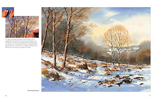 Watercolour Landscapes Step-By-Step - Retail Maharaj