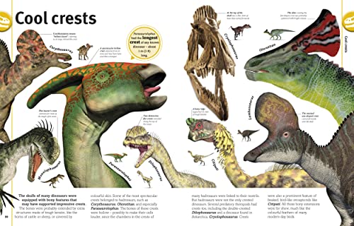 The Dinosaur Book: Our World in Pictures - Retail Maharaj