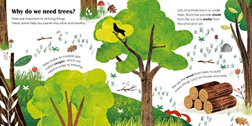 Trees: A lift-the-flap eco book - Retail Maharaj