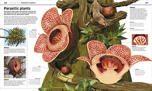 Knowledge Encyclopedia Plants and Fungi!: Our Growing World as You've Never Seen It Before - Retail Maharaj