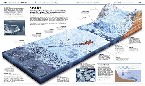 Knowledge Encyclopedia: Ocean! Our Watery World As You've Never Seen It Before - Retail Maharaj