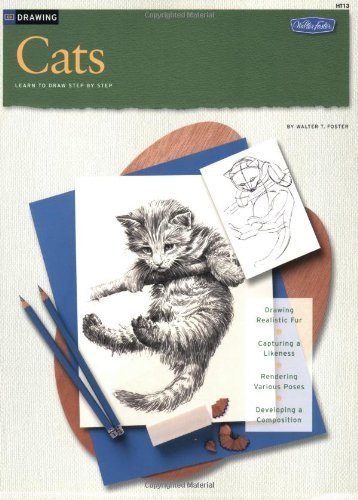 Cats: No. 13 (How to Draw) - Retail Maharaj