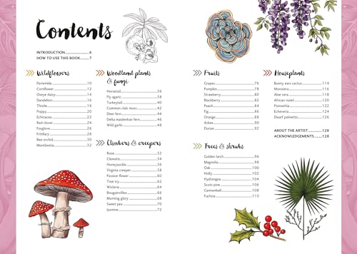 Botanicals: Draw over 50 Plants in 10 Easy Steps (10 Step Drawing) - Retail Maharaj