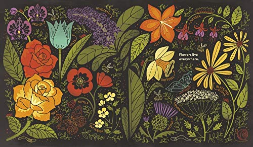 What's Inside A Flower?: And Other Questions About Science & Nature - Retail Maharaj