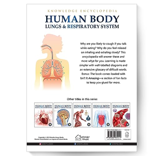 Human Body - Lungs And Respiratory System: Knowledge Encyclopedia For Children - Retail Maharaj