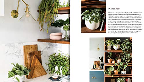 House Planted: Choosing, Growing, and Styling the Perfect Plants for Your Space - Retail Maharaj