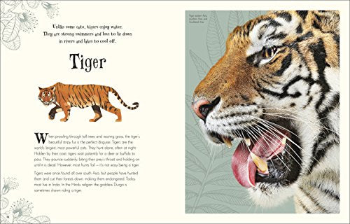An Anthology of Intriguing Animals - Retail Maharaj
