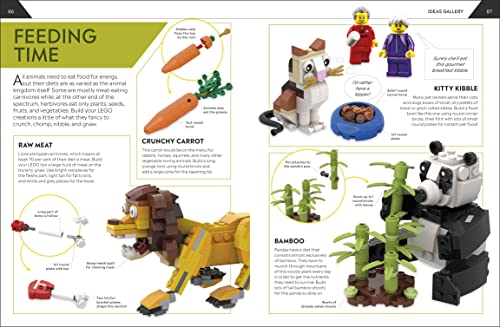 How to Build LEGO Animals: Go on a Journey to Become a Better Builder - Retail Maharaj