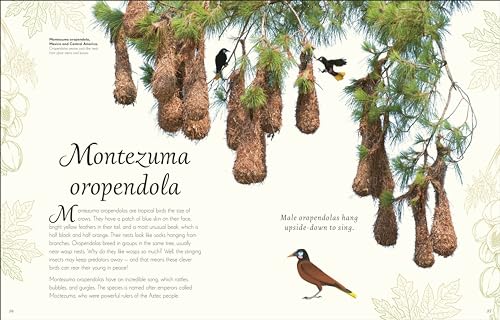 An Anthology of Exquisite Birds - Retail Maharaj