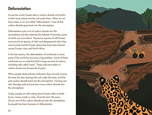 A Ladybird Book Climate Change - Retail Maharaj