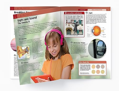 Human Body - Brain And Nervous System: Knowledge Encyclopedia For Children - Retail Maharaj