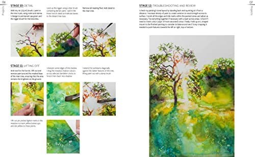 Capturing Light: Creating Radiant Landscapes in Watercolour (The Innovative Artist) - Retail Maharaj