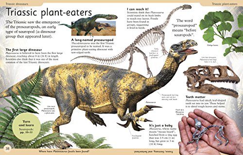 First Dinosaur Encyclopedia - Retail Maharaj