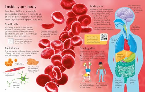 First Encyclopedia of the Human Body - Retail Maharaj