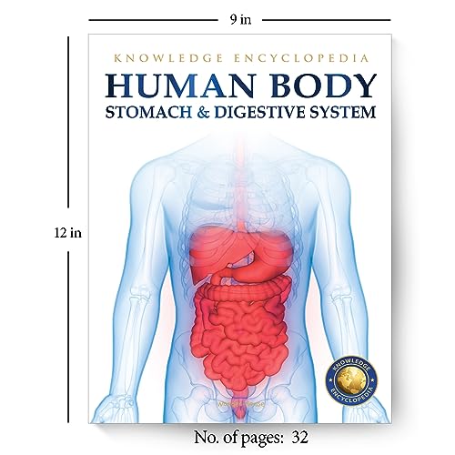 Human Body - Stomach And Digestive System: Knowledge Encyclopedia For Children - Retail Maharaj