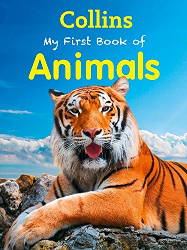 My First Book of Animals - Retail Maharaj