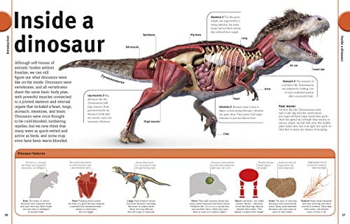 The Dinosaur Book: Our World in Pictures - Retail Maharaj