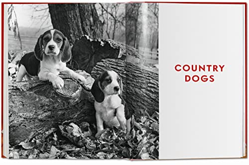 Walter Chandoha. Dogs. Photographs 1941-1991 - Retail Maharaj
