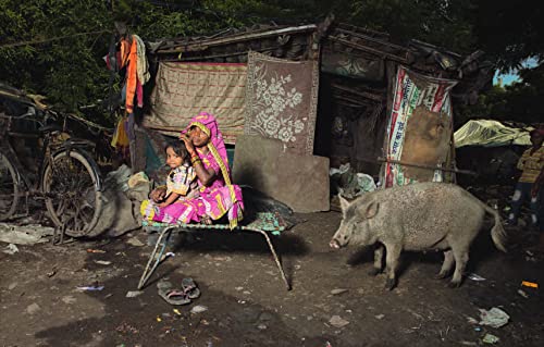 India - Retail Maharaj