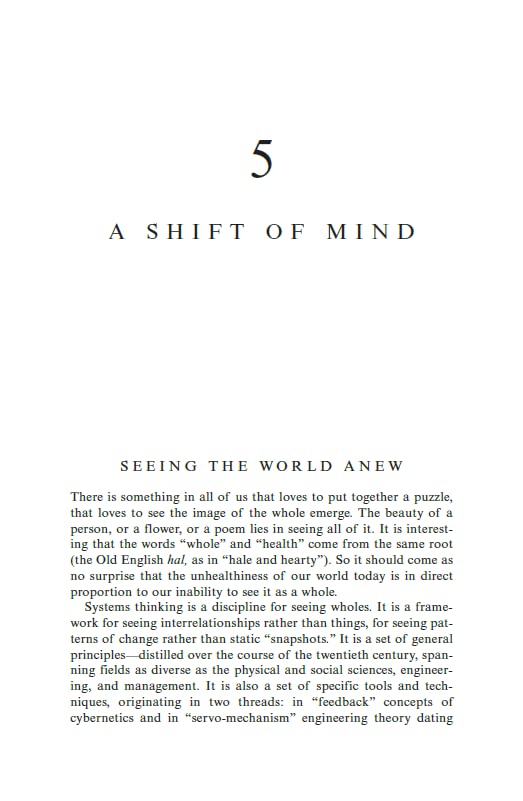 Fifth Discipline Second Edition, The - Retail Maharaj