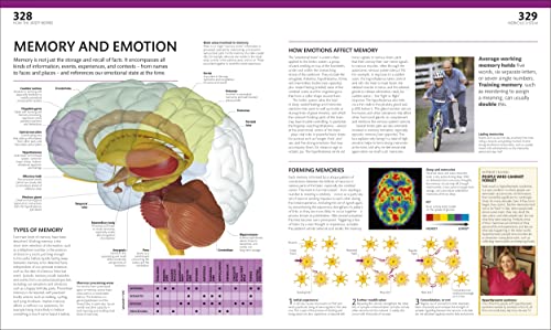 The Complete Human Body: The Definitive Visual Guide - Retail Maharaj