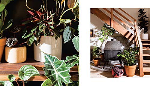 House Planted: Choosing, Growing, and Styling the Perfect Plants for Your Space - Retail Maharaj