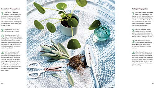 House Planted: Choosing, Growing, and Styling the Perfect Plants for Your Space - Retail Maharaj