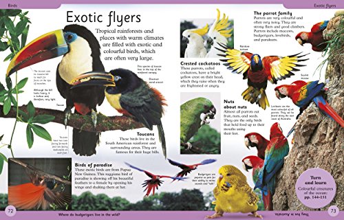 First Animal Encyclopedia: A First Reference Book for Children - Retail Maharaj