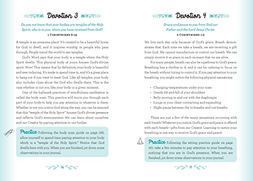 A Mindful Moment: 5-Minute Meditations and Devotions - Retail Maharaj