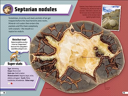 Rocks and Minerals Ultimate Handbook: The Need-to-Know Facts and Stats on More Than 200 Rocks and Minerals - Retail Maharaj