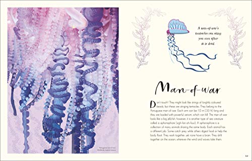 The Wonders of Nature - Retail Maharaj